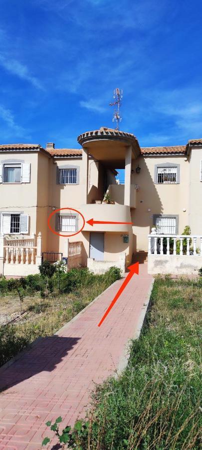Zeus Beach La Mata 托雷维耶哈 外观 照片