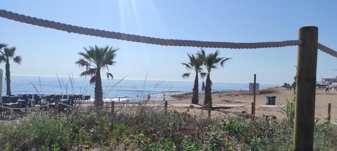 Zeus Beach La Mata 托雷维耶哈 外观 照片